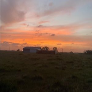 Meet your Posher, Desiree